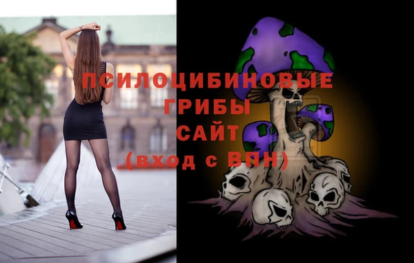 МДПВ Аркадак