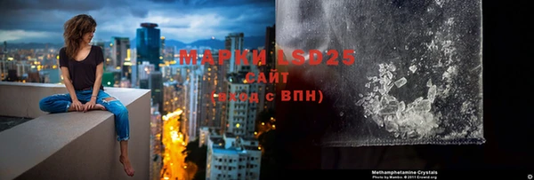 мдпв Дмитриев