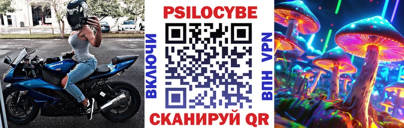 где можно купить   Кяхта  Псилоцибиновые грибы ЛСД 